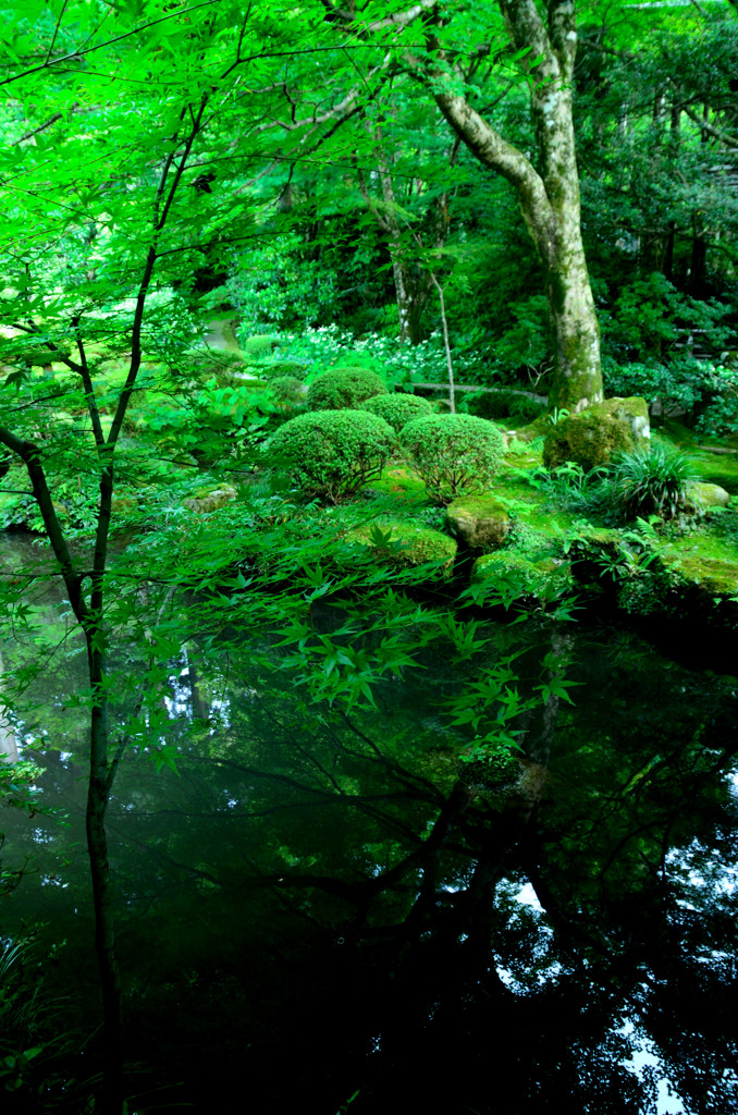 静寂の碧