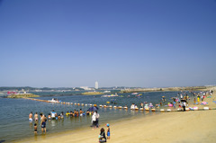 夏海