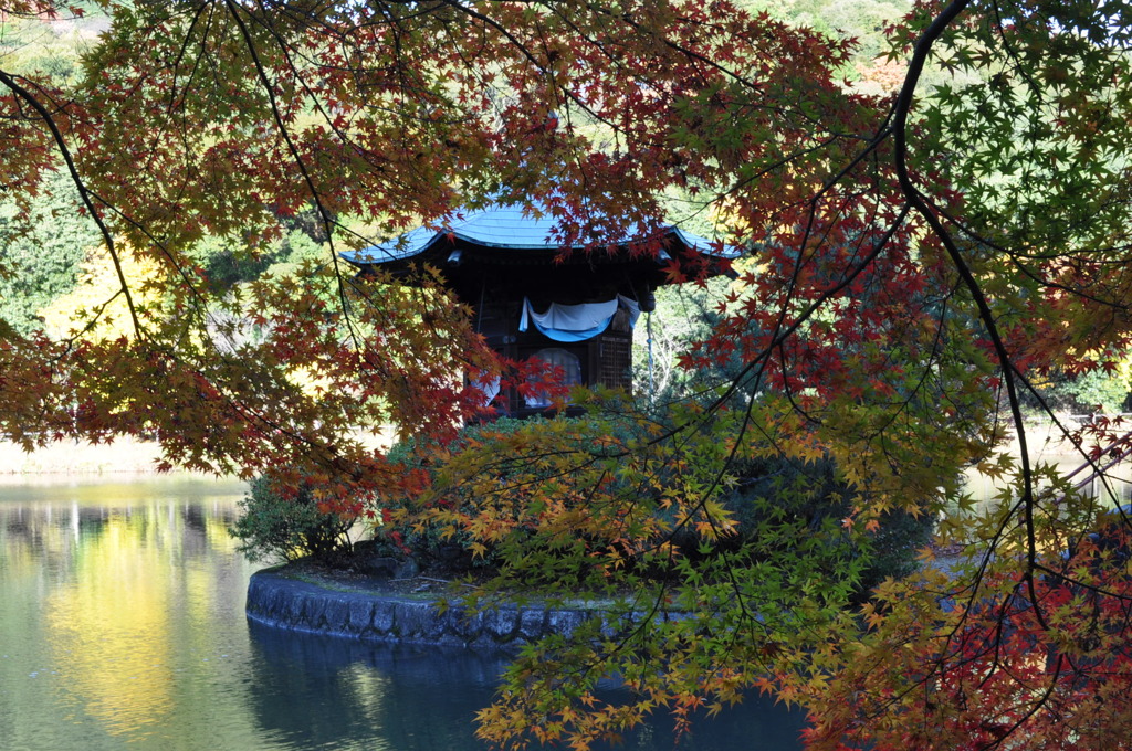 紅葉。