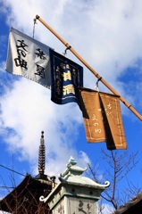 ちょっと寄って行かんね