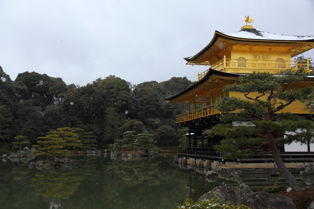 金閣寺の冬