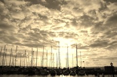 Harbor