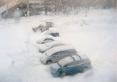 みんな埋もれてる