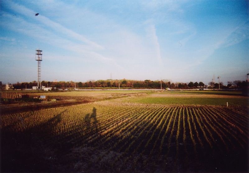 yonder4