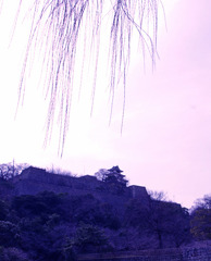 朧