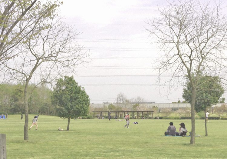 park