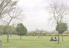 park