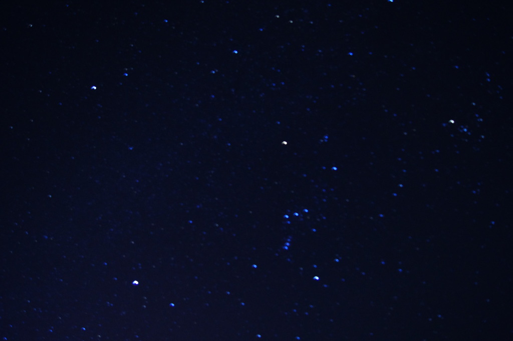 Orion