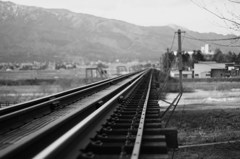 Flower　railroad