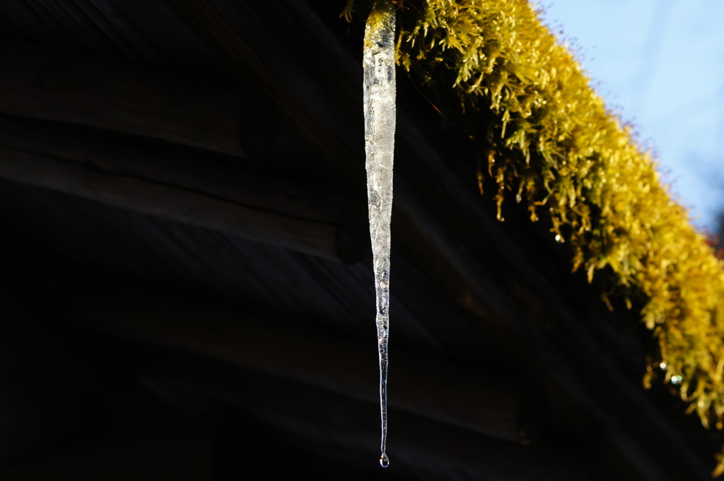 Icicle