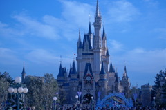 the Cinderella Castle
