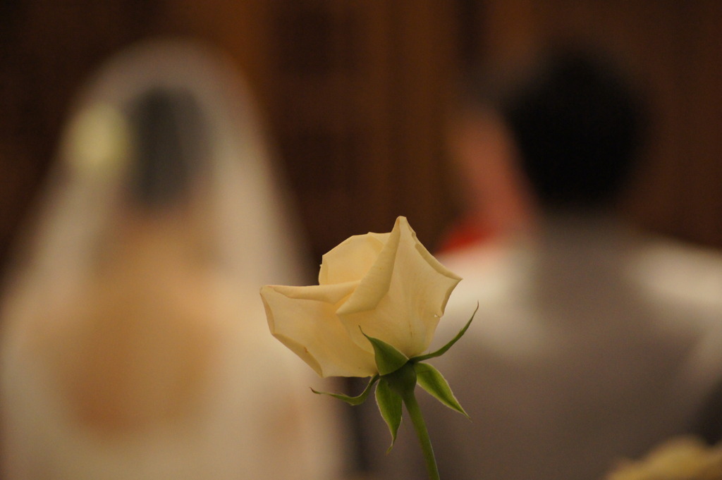 Happy wedding