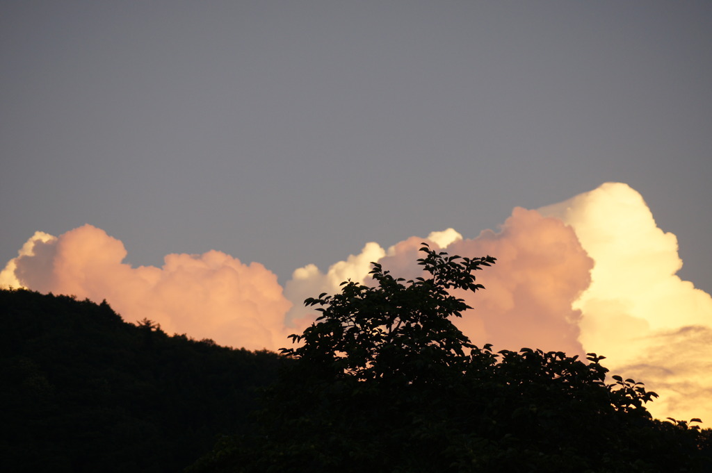 紅白雲