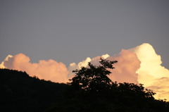 紅白雲