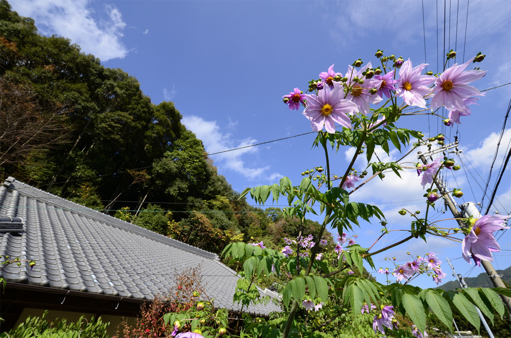 空高く