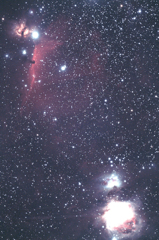 オリオン大星雲と馬頭星雲２