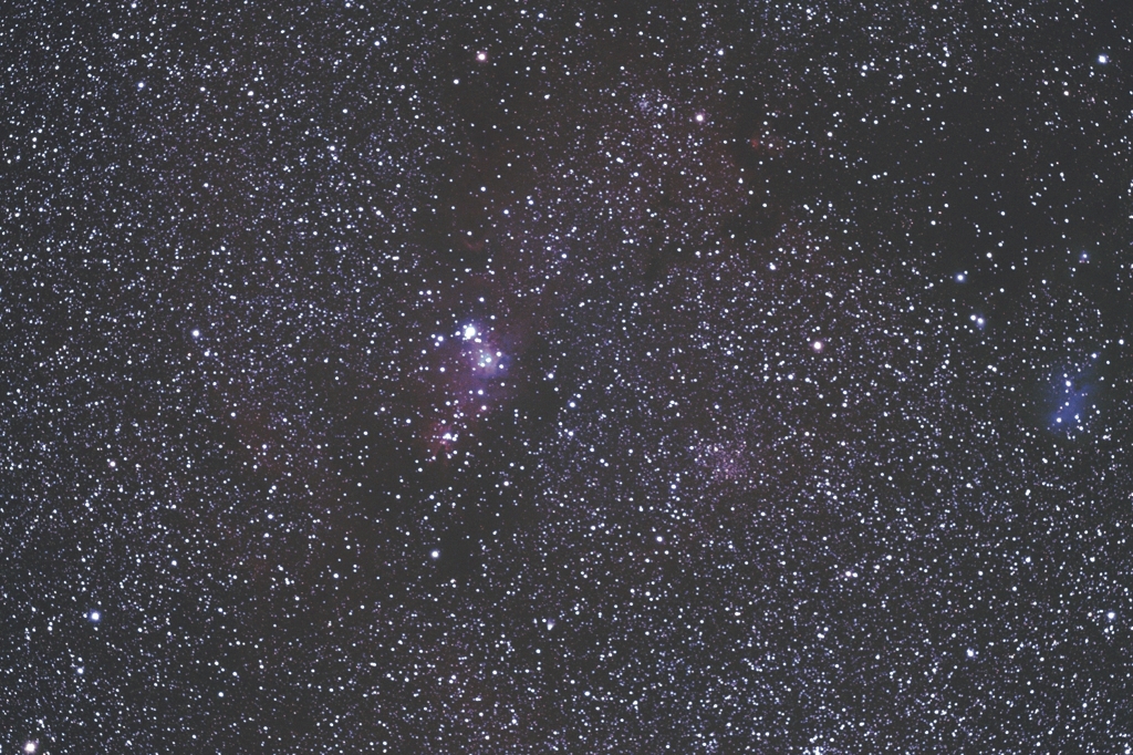 NGC2264