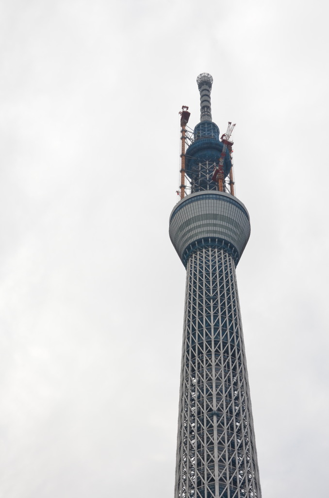 スカイツリー見てきました
