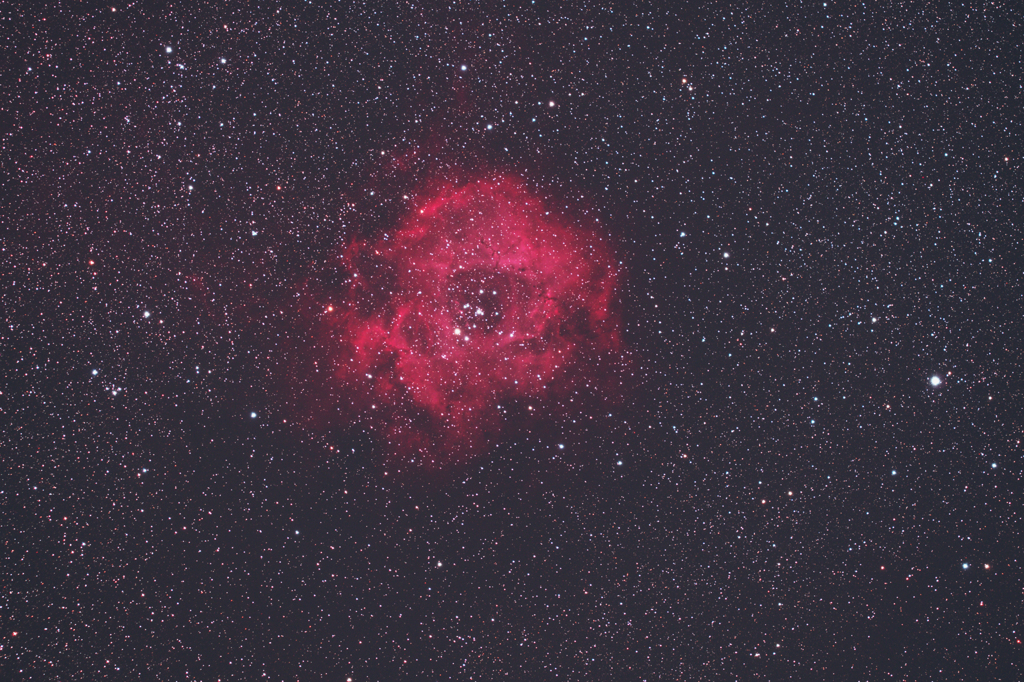 バラ星雲