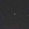 M33