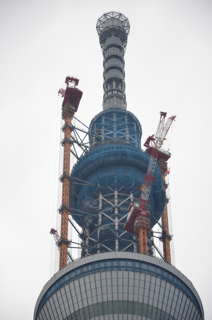 今日も建設作業進行中