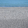 広い浜にウミガメの甲羅ひとつ