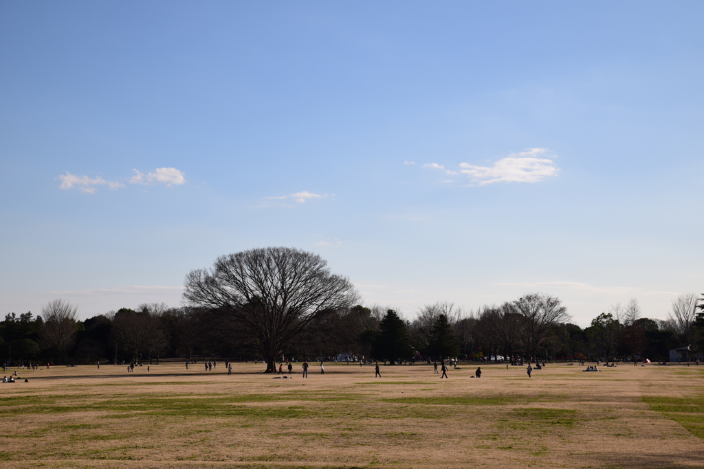 みんなの広場