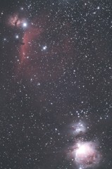 オリオン大星雲と馬頭星雲3！