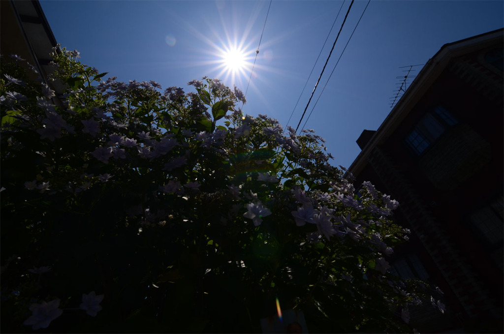 夏至の太陽