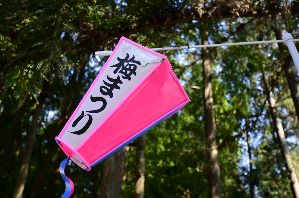 まつりだまつりだ！