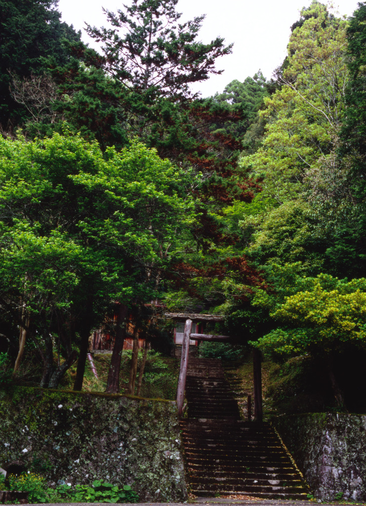 山奥のお宮さん