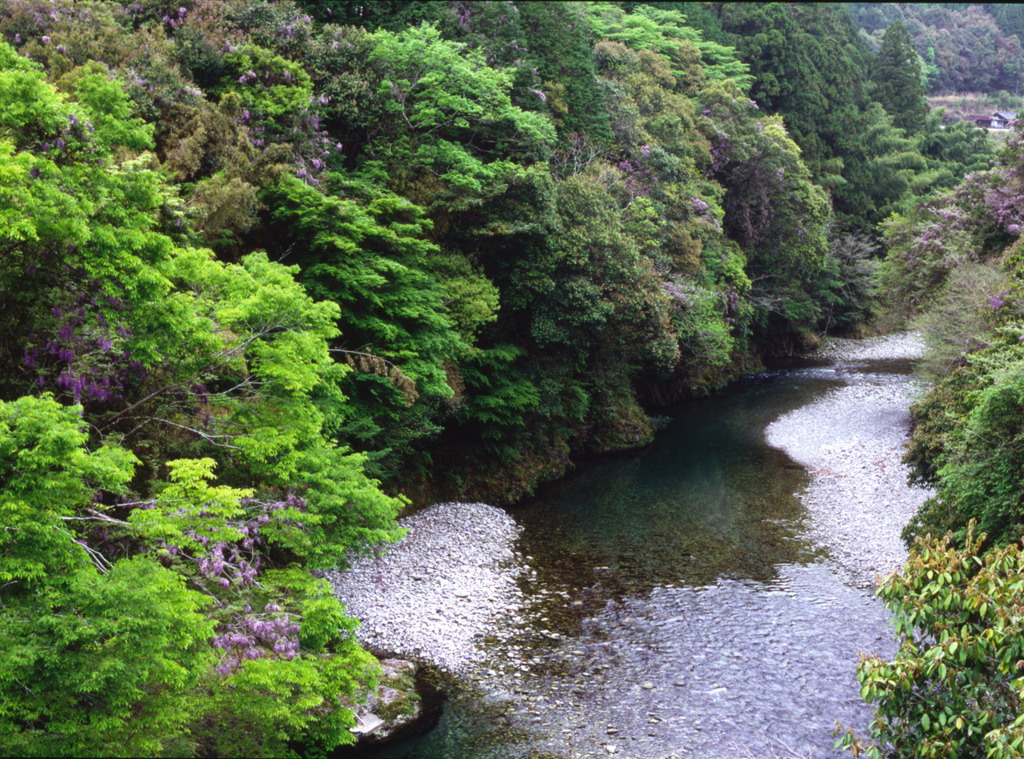 清流・古座川