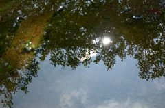 水たまりの中は青空