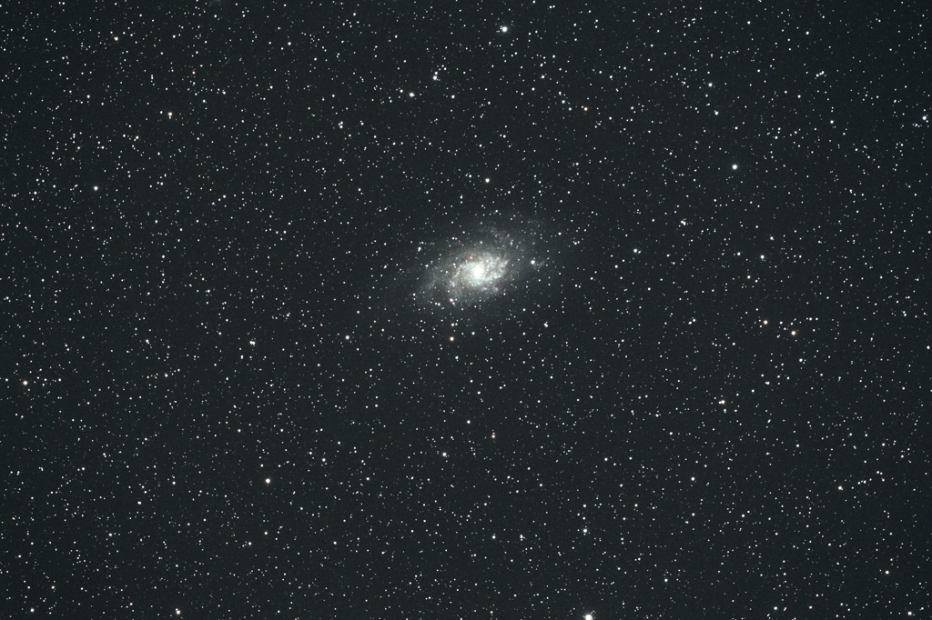 M33