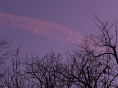 元旦。朝焼けの飛行機雲