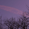 元旦。朝焼けの飛行機雲