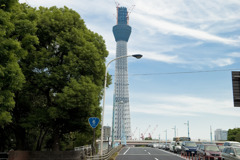2010　夏　スカイタワー