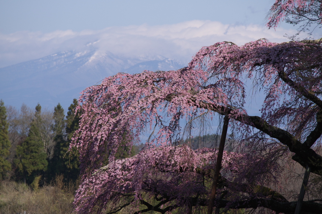 変わらない風景