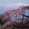 変わらない風景