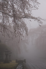 霧の中の大石寺