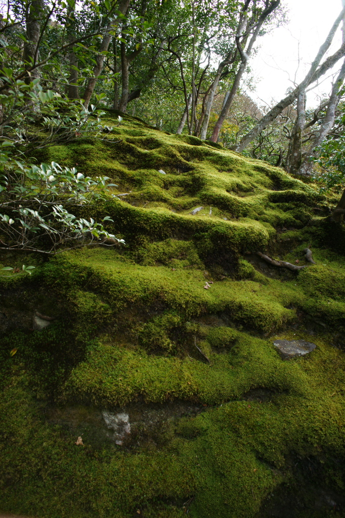 緑の階段