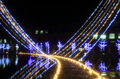 光の懸け橋