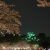 夜景の岡崎城