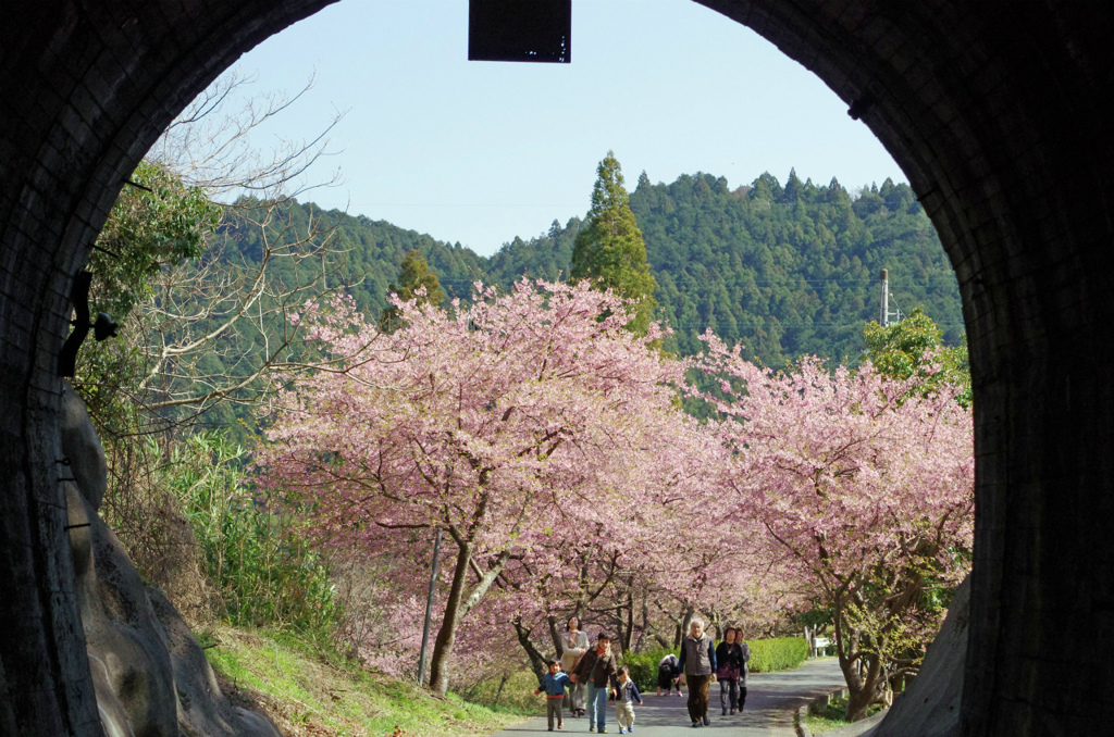 トンネルを抜けたら