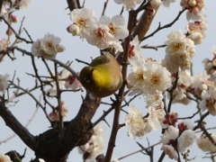 狙い定めて