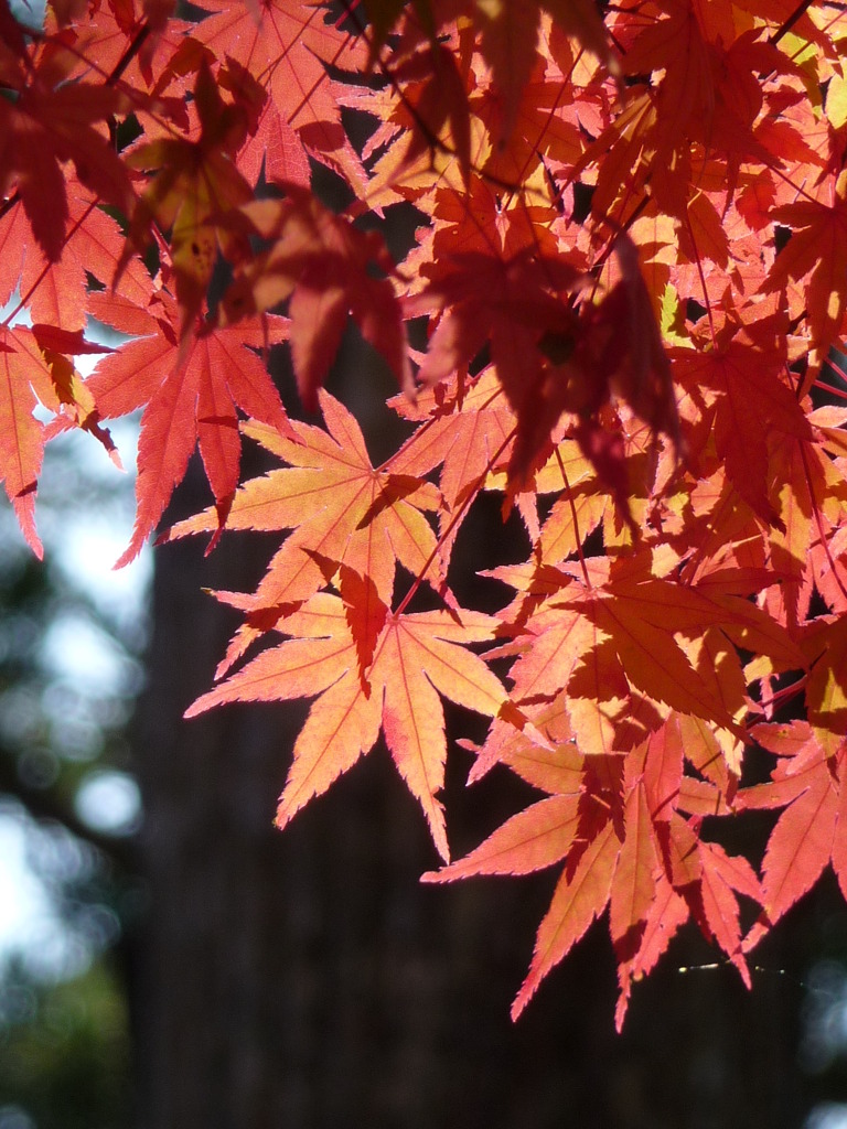 09.10.31.高野山