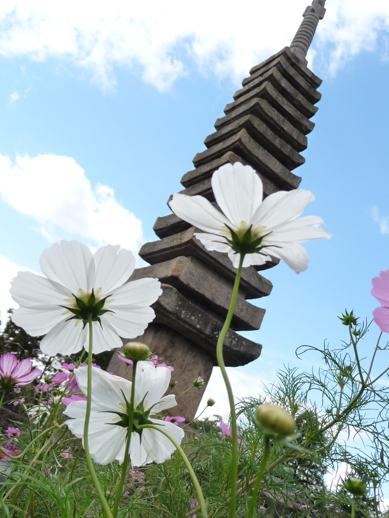 空へ