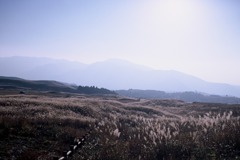 FH000014
