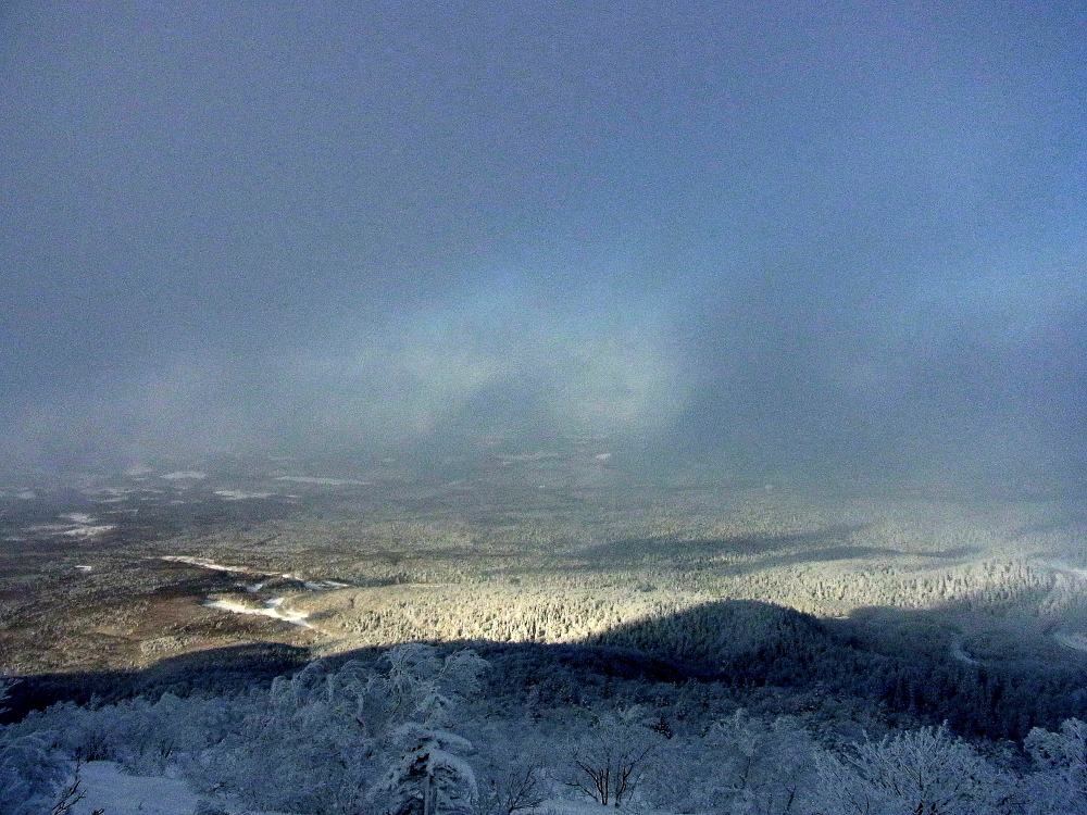 雪原２