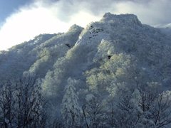 輝く山
